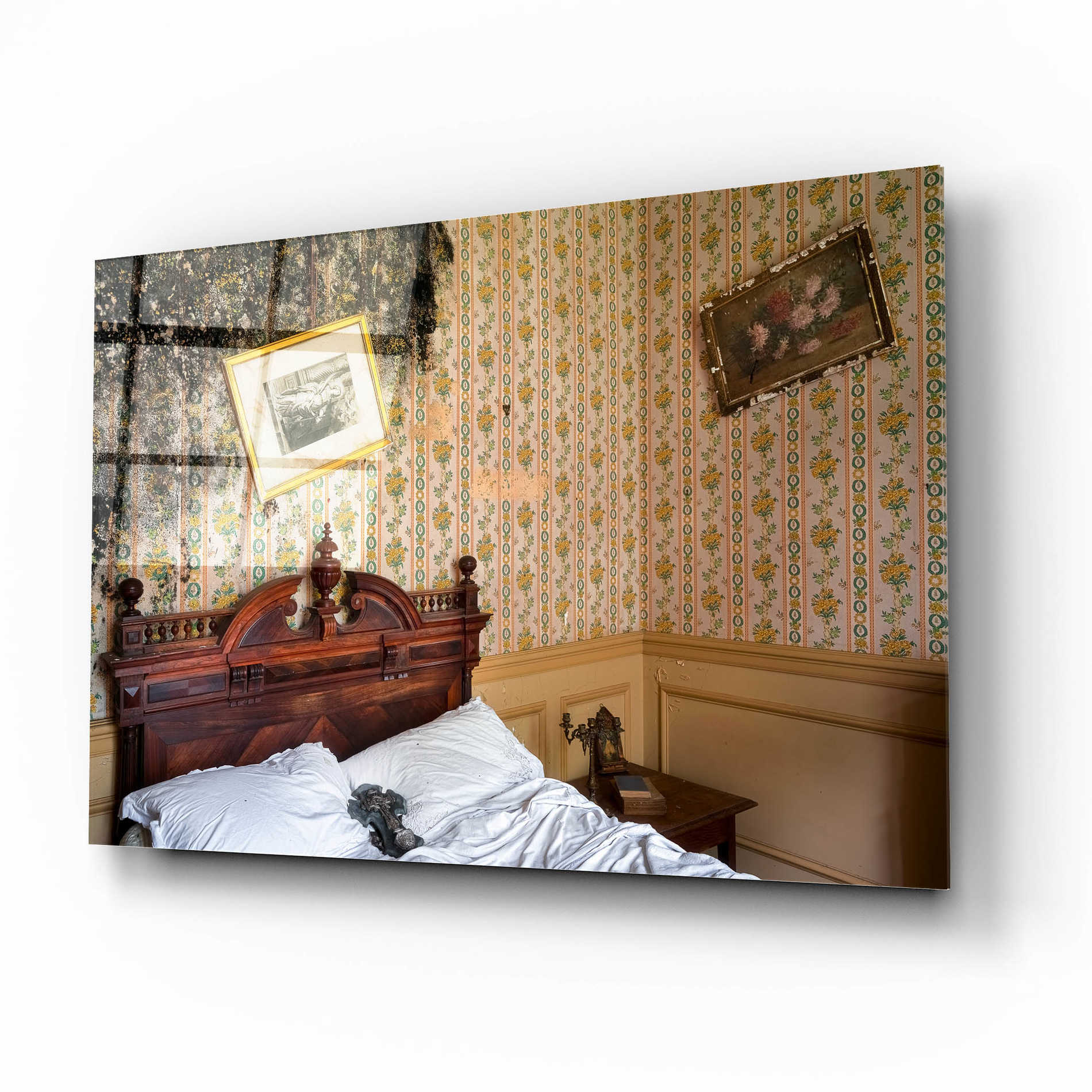 Epic Art 'Mold Bedroom' by Roman Robroek Acrylic Glass Wall Art,16x12