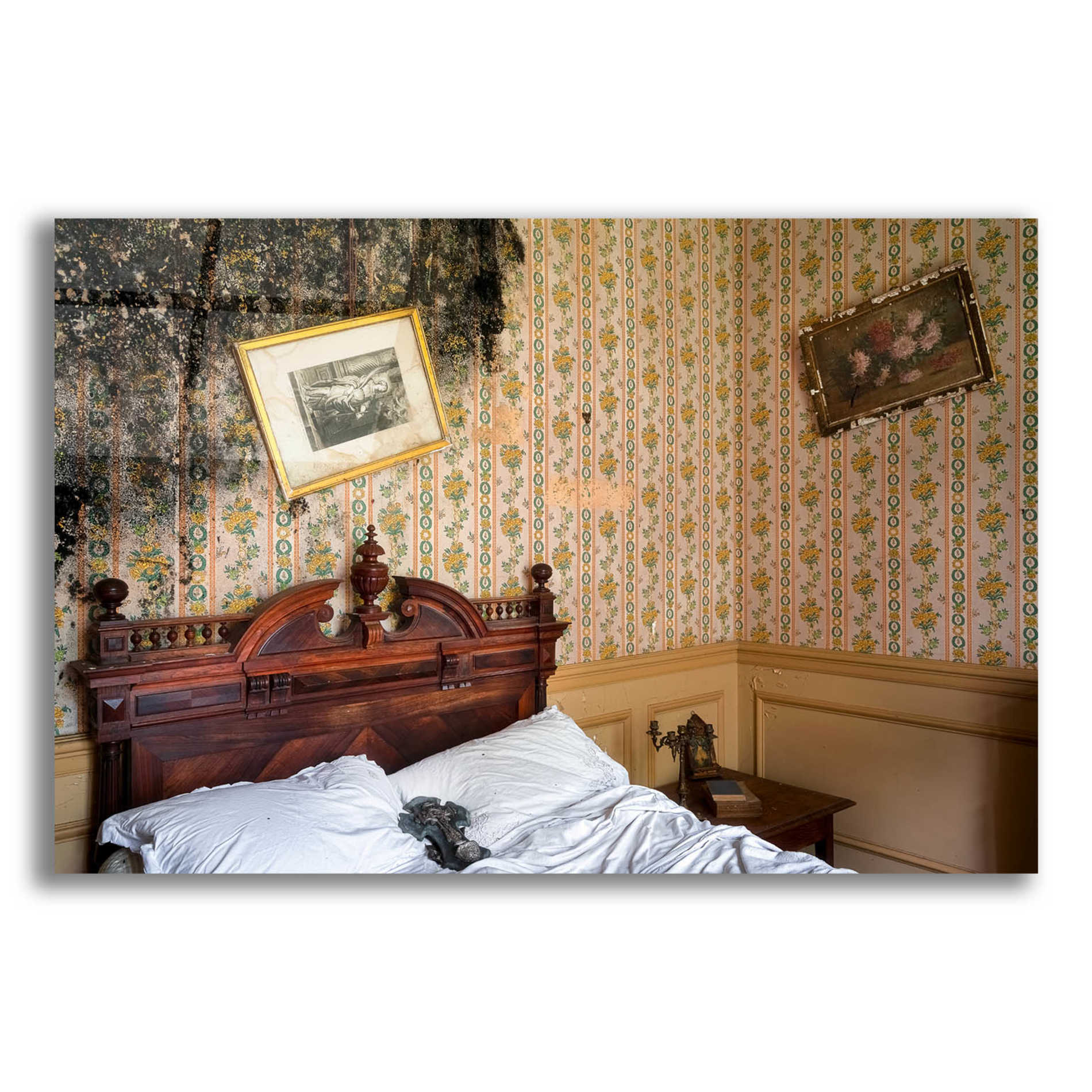 Epic Art 'Mold Bedroom' by Roman Robroek Acrylic Glass Wall Art,16x12