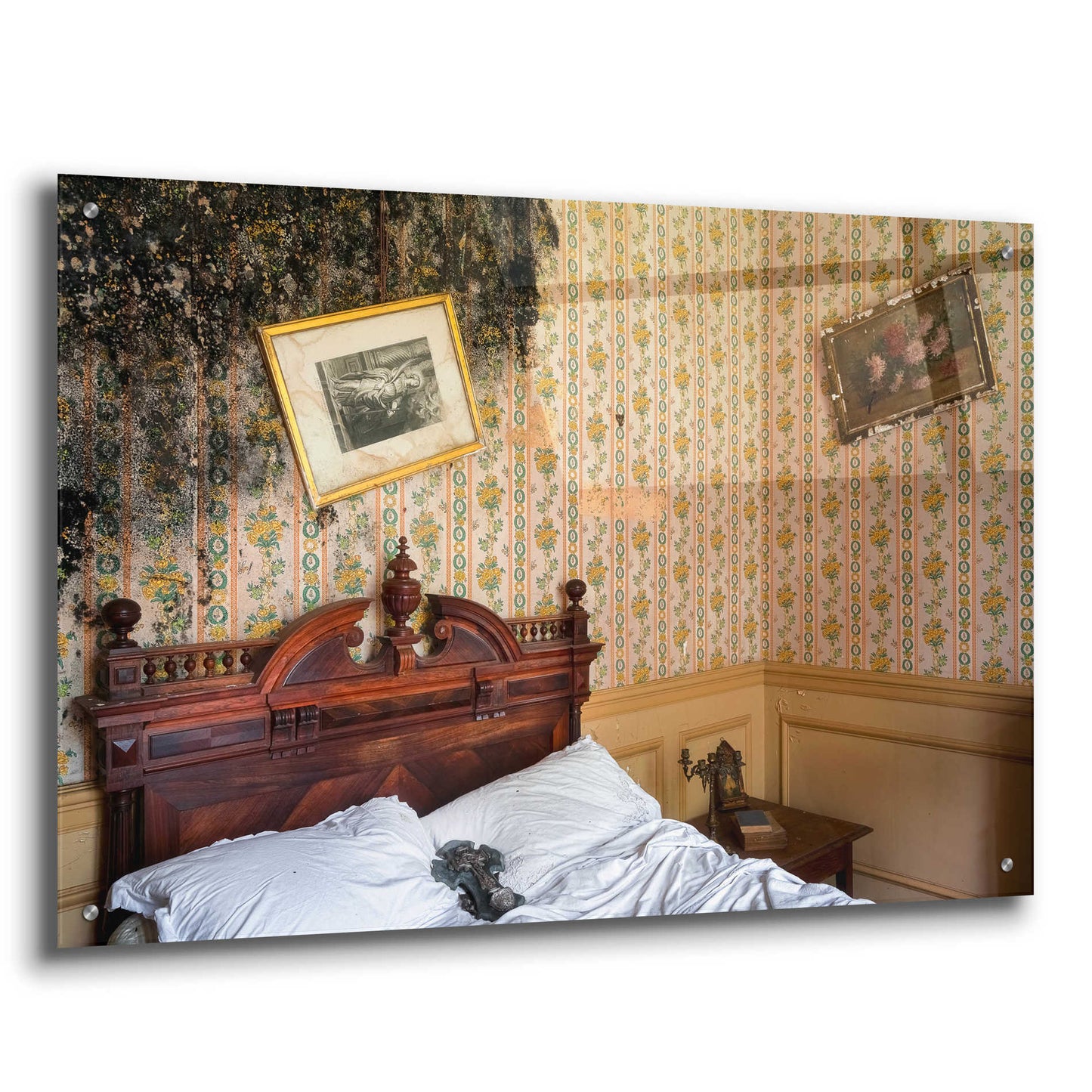 Epic Art 'Mold Bedroom' by Roman Robroek Acrylic Glass Wall Art,36x24