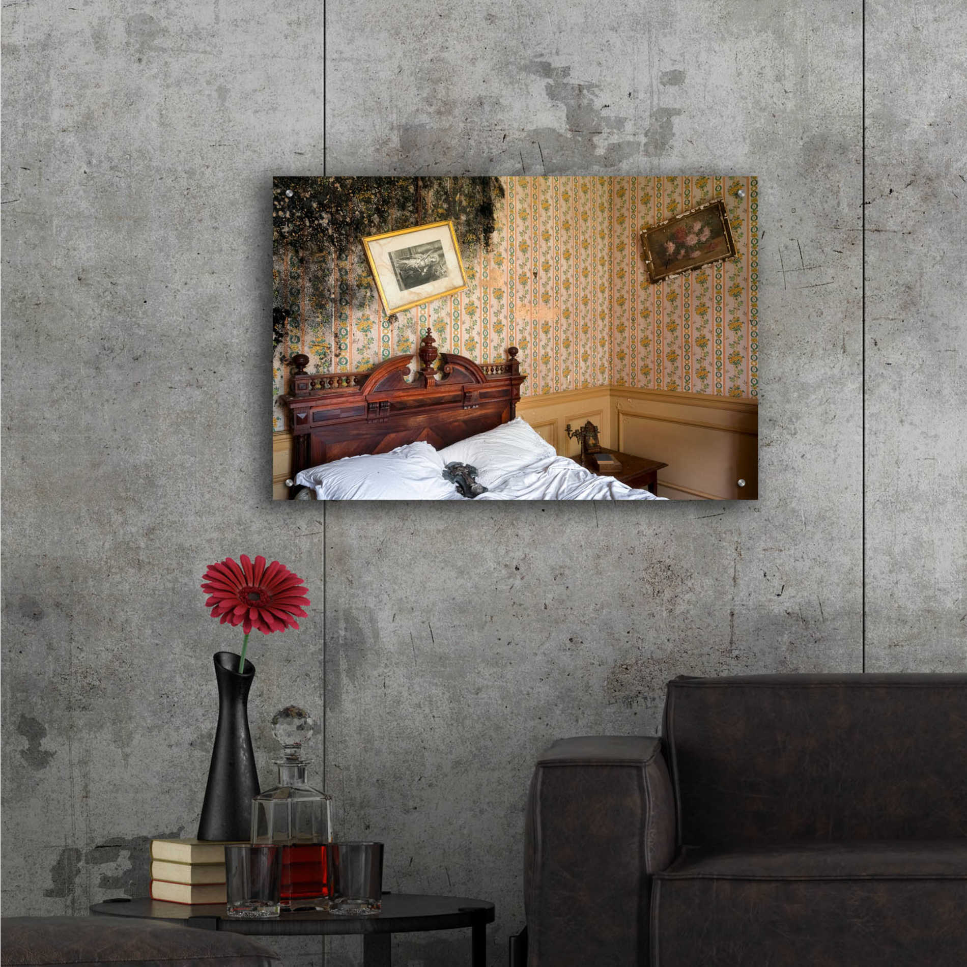 Epic Art 'Mold Bedroom' by Roman Robroek Acrylic Glass Wall Art,36x24