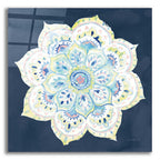 Epic Art 'Jaipur VI Navy' by Danhui Nai, Acrylic Glass Wall Art