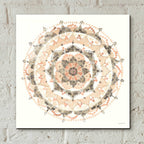Epic Art 'Blush Mandala' by Danhui Nai, Acrylic Glass Wall Art,12x12