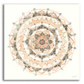 Epic Art 'Blush Mandala' by Danhui Nai, Acrylic Glass Wall Art
