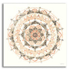 Epic Art 'Blush Mandala' by Danhui Nai, Acrylic Glass Wall Art