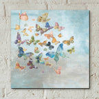 Epic Art 'Beautiful Butterflies v3 Square' by Danhui Nai, Acrylic Glass Wall Art,12x12