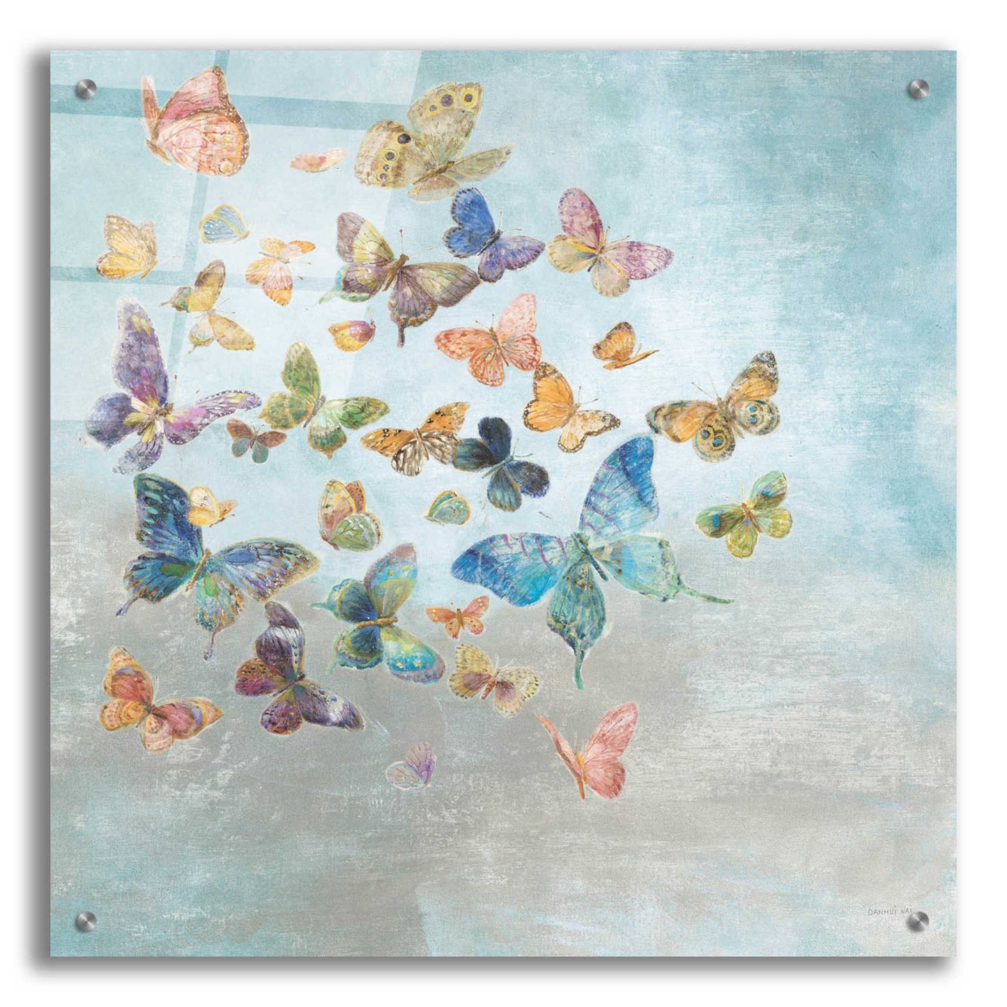 Epic Art 'Beautiful Butterflies v3 Square' by Danhui Nai, Acrylic Glass Wall Art,24x24