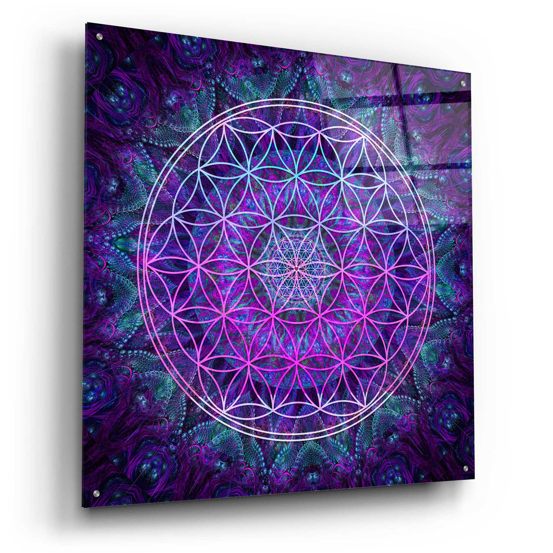 Epic Art 'Flower Of Life' by Cameron Gray Acrylic Glass Wall Art,36x36
