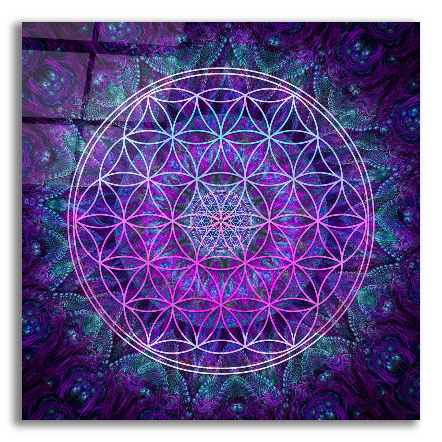 Epic Art 'Flower Of Life' by Cameron Gray Acrylic Glass Wall Art
