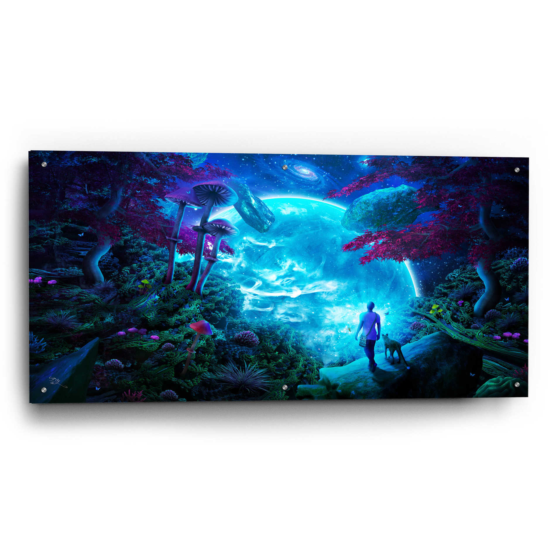 Epic Art 'Lost Sky' by Cameron Gray Acrylic Glass Wall Art,48x24