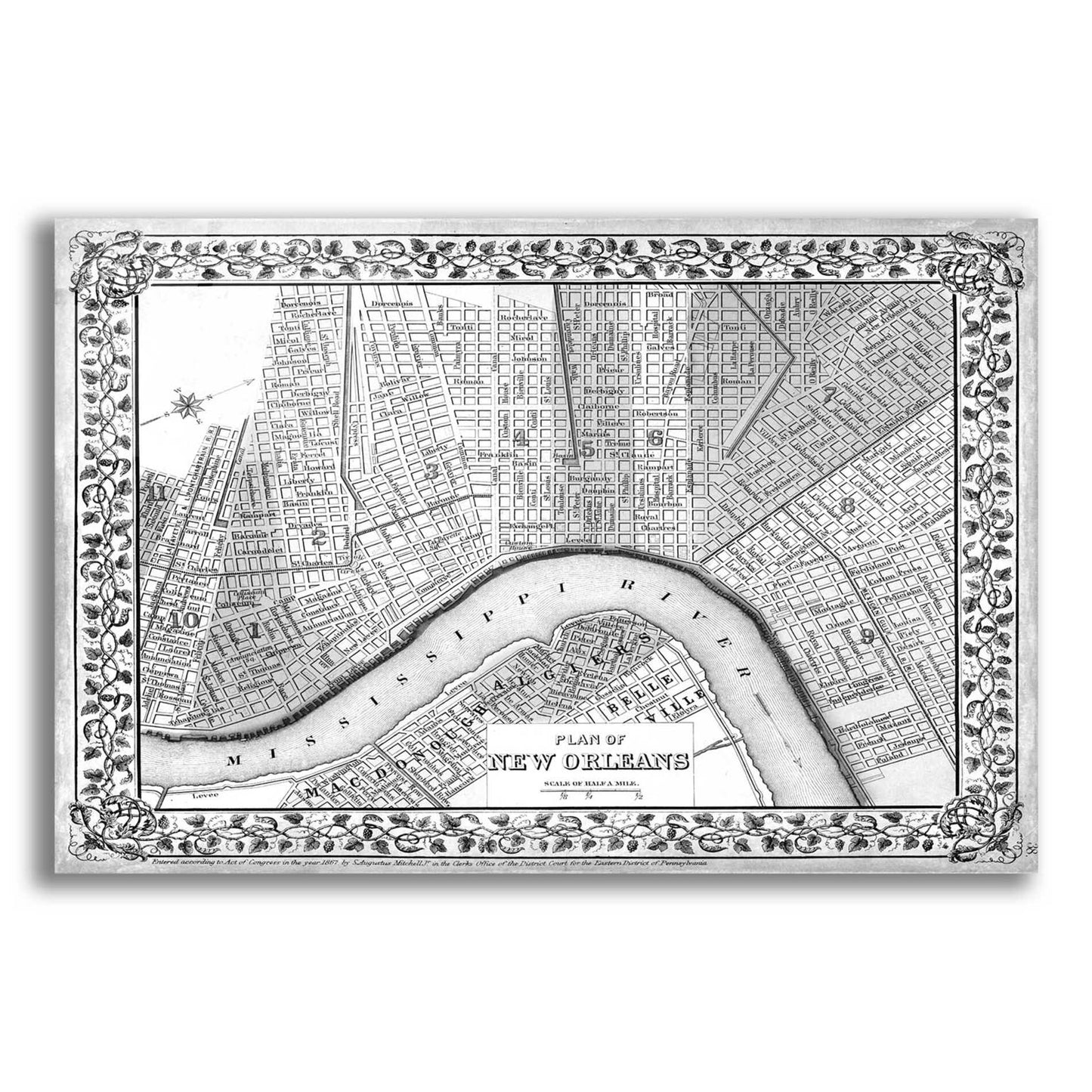 Epic Art 'Plan of New Orleans' by  Mitchell, Acrylic Glass Wall Art,16x12