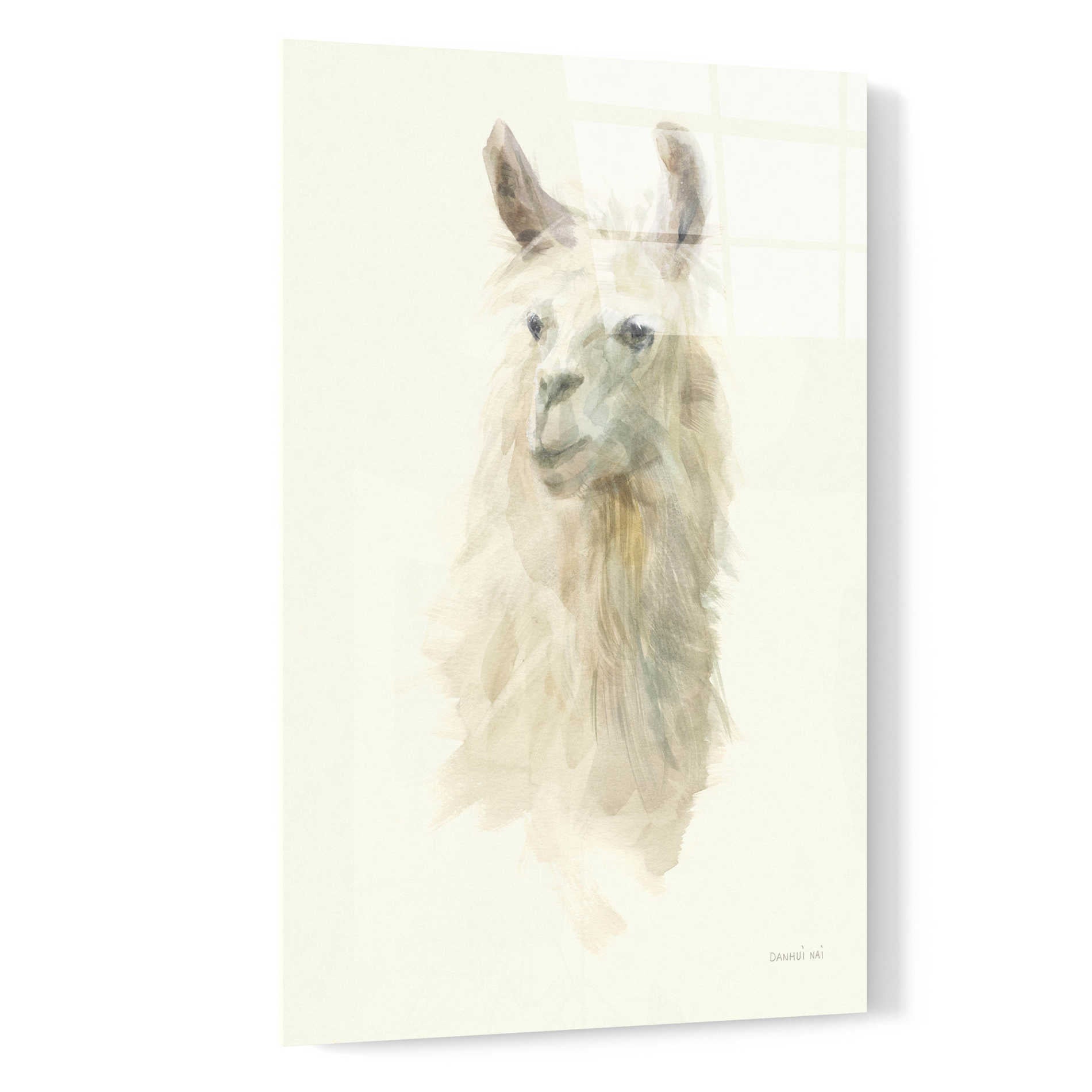 Epic Art 'Classic Llamas II' by Danhui Nai, Acrylic Glass Wall Art,16x24