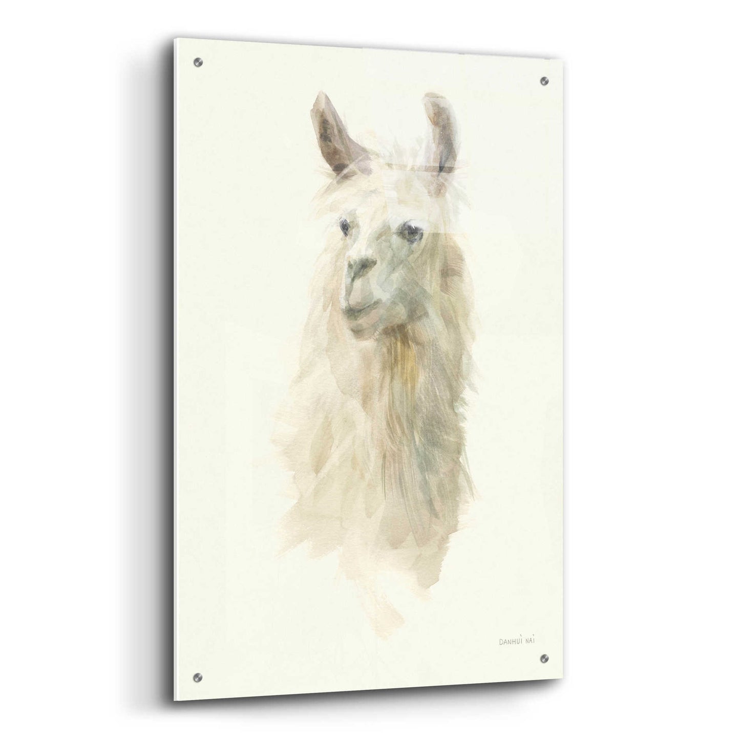 Epic Art 'Classic Llamas II' by Danhui Nai, Acrylic Glass Wall Art,24x36