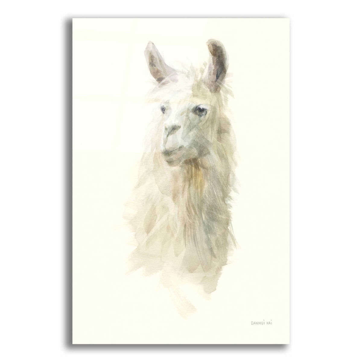 Epic Art 'Classic Llamas II' by Danhui Nai, Acrylic Glass Wall Art