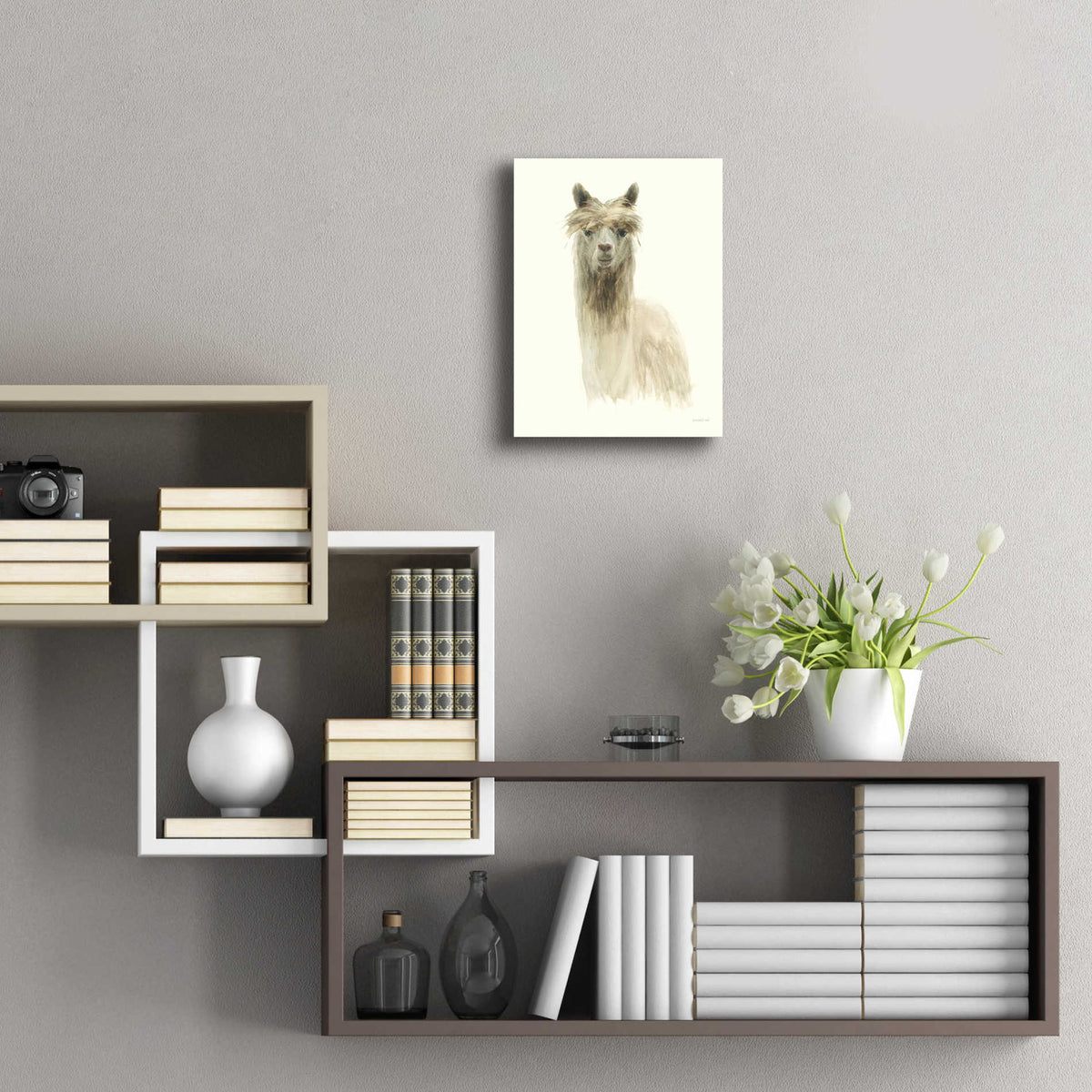 Epic Art 'Classic Llamas I' by Danhui Nai, Acrylic Glass Wall Art,12x16