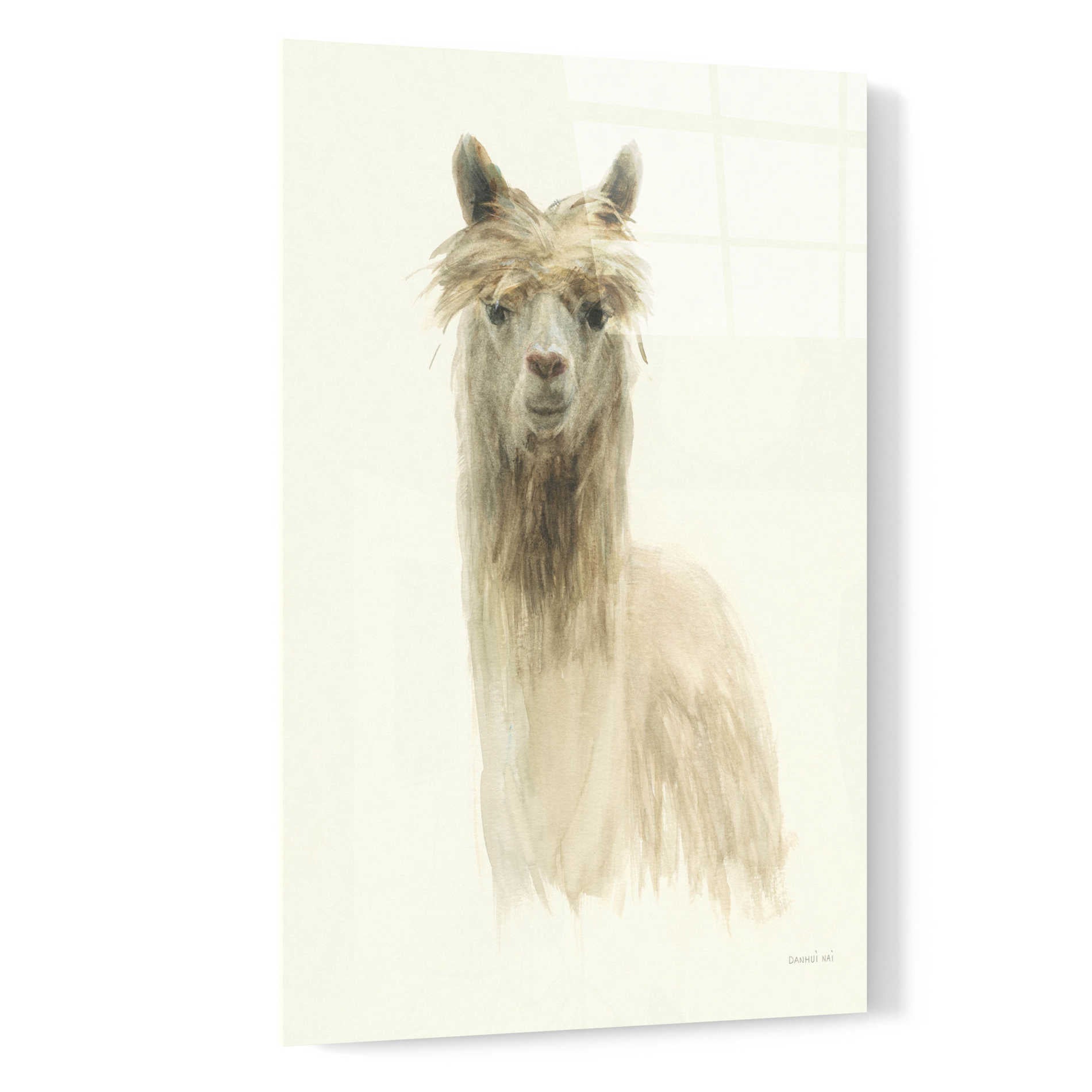 Epic Art 'Classic Llamas I' by Danhui Nai, Acrylic Glass Wall Art,16x24