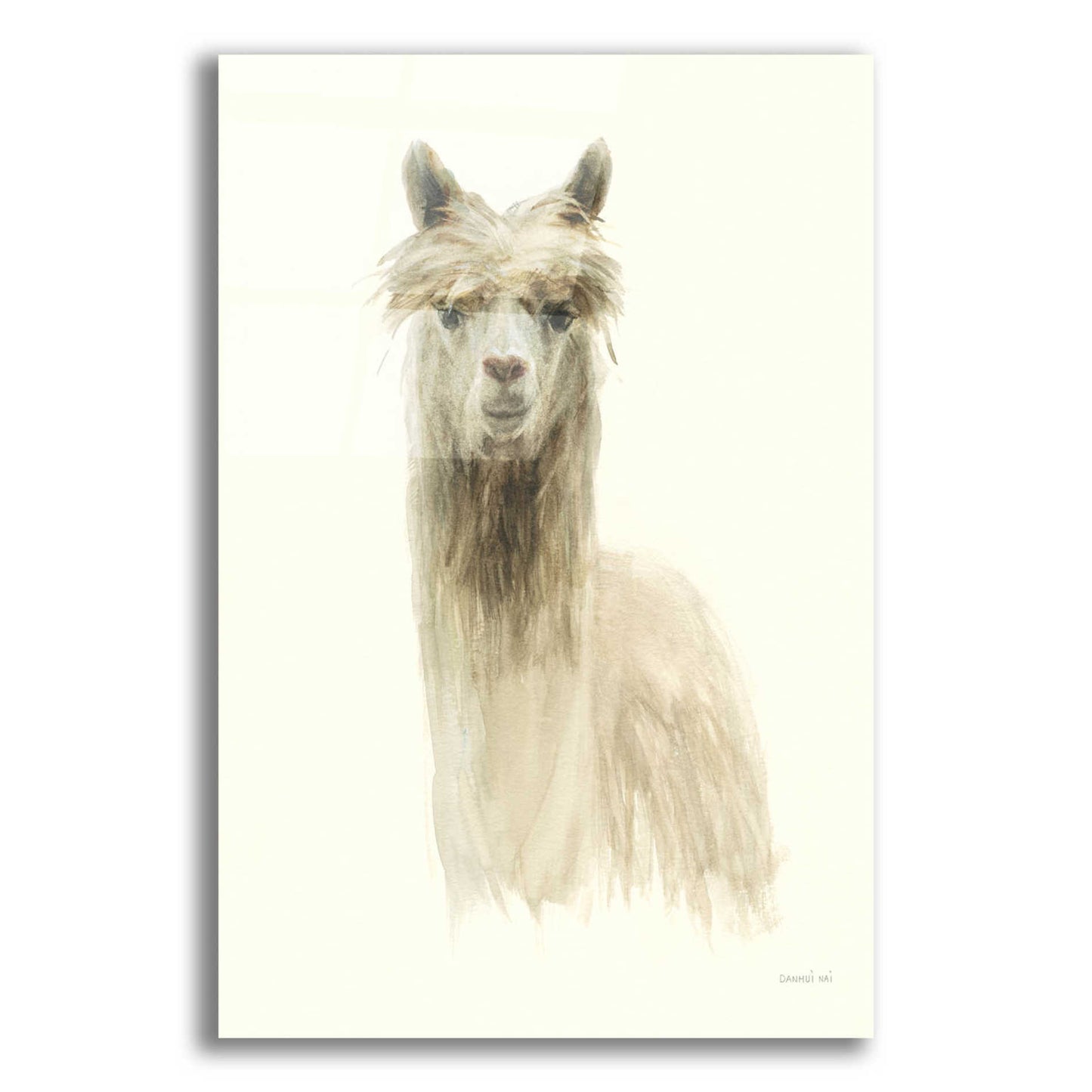 Epic Art 'Classic Llamas I' by Danhui Nai, Acrylic Glass Wall Art,16x24