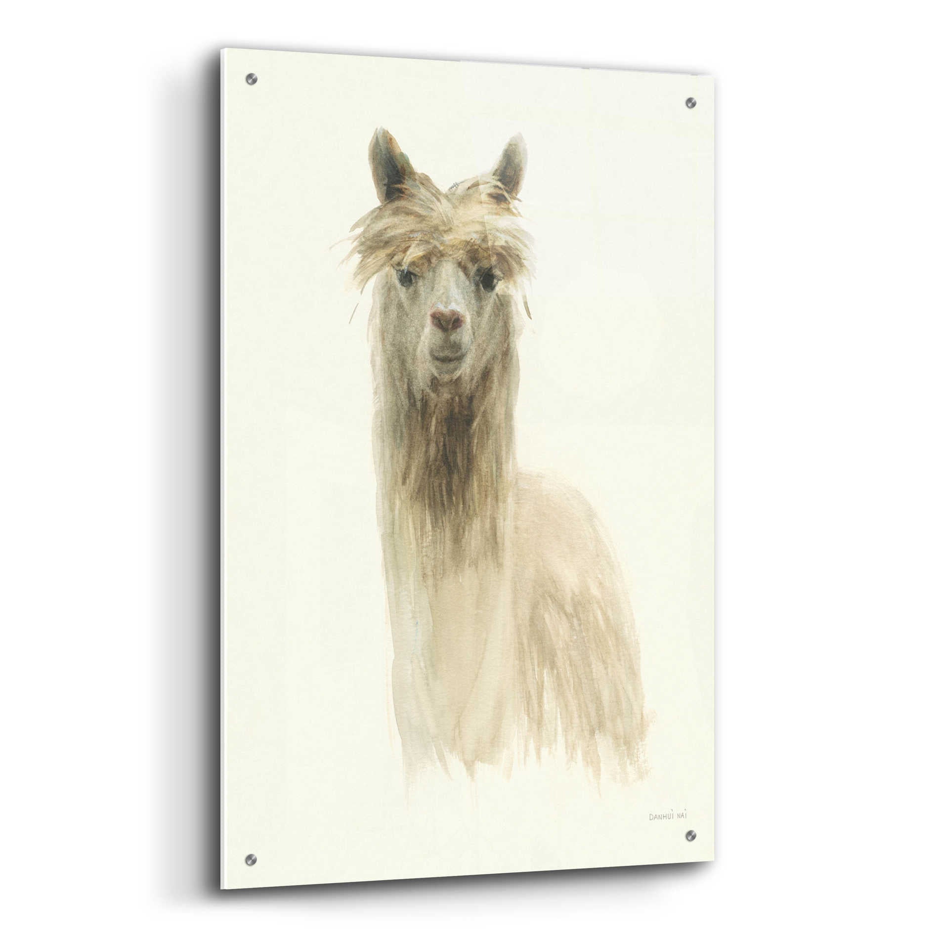 Epic Art 'Classic Llamas I' by Danhui Nai, Acrylic Glass Wall Art,24x36