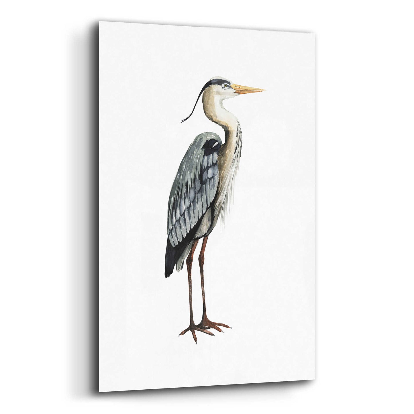 Epic Art 'Sea Bird V' by Grace Popp, Acrylic Glass Wall Art,12x16