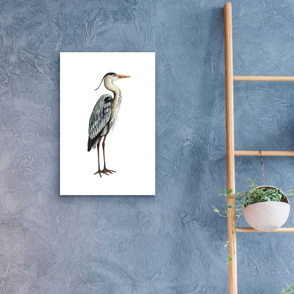 Epic Art 'Sea Bird V' by Grace Popp, Acrylic Glass Wall Art,16x24