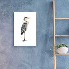 Epic Art 'Sea Bird V' by Grace Popp, Acrylic Glass Wall Art,16x24