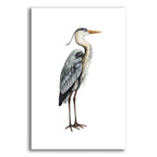 Epic Art 'Sea Bird V' by Grace Popp, Acrylic Glass Wall Art