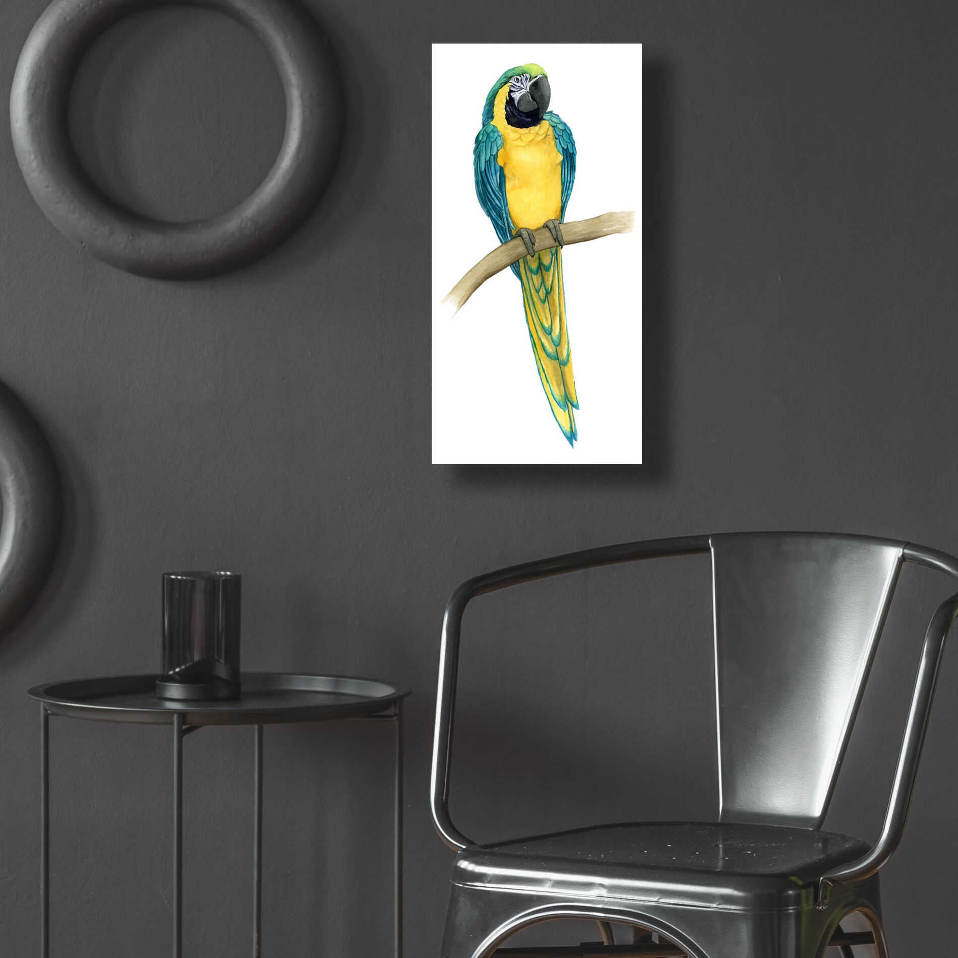 Epic Art 'Teal Macaw II' by Grace Popp, Acrylic Glass Wall Art,12x24
