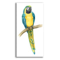 Epic Art 'Teal Macaw II' by Grace Popp, Acrylic Glass Wall Art