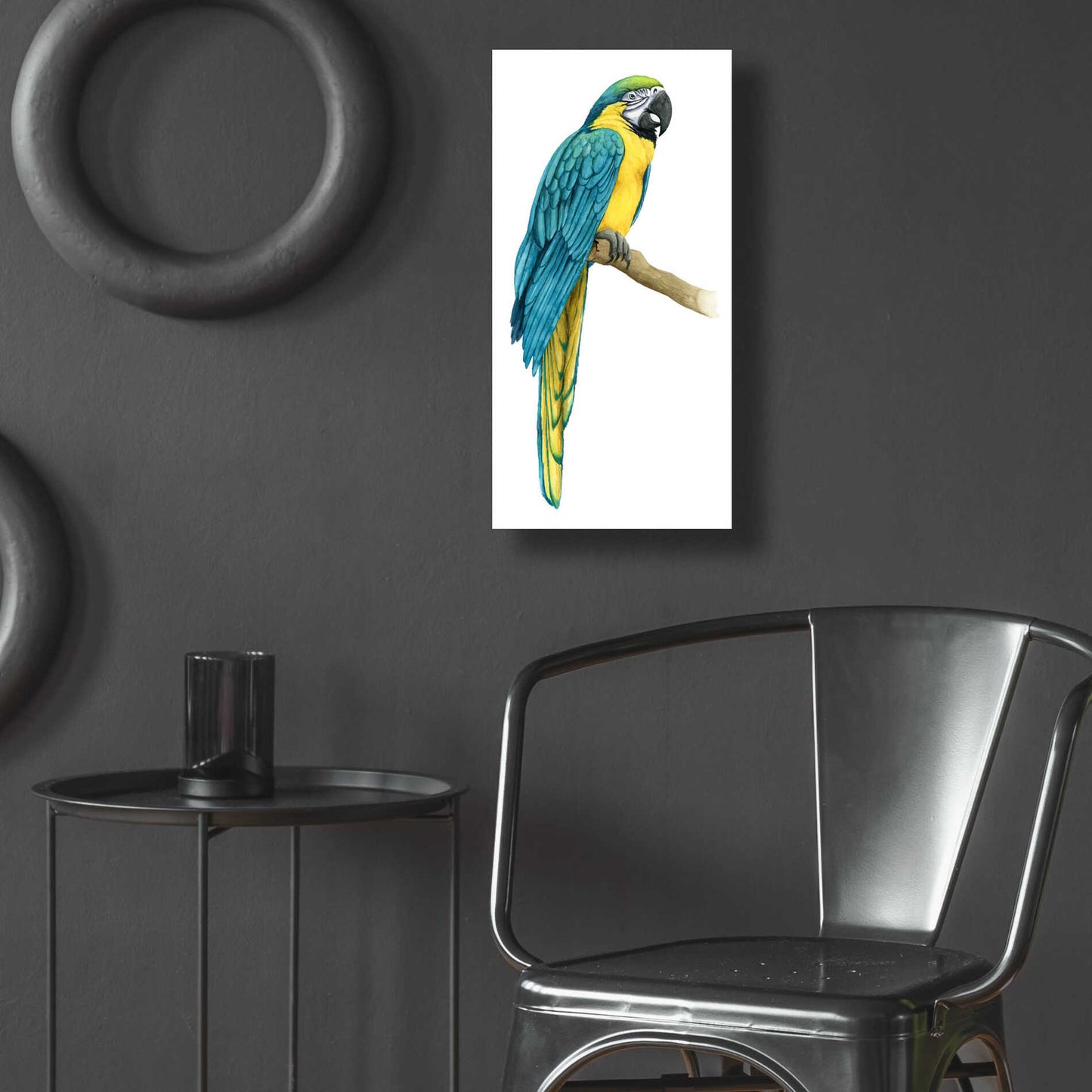 Epic Art 'Teal Macaw I' by Grace Popp, Acrylic Glass Wall Art,12x24