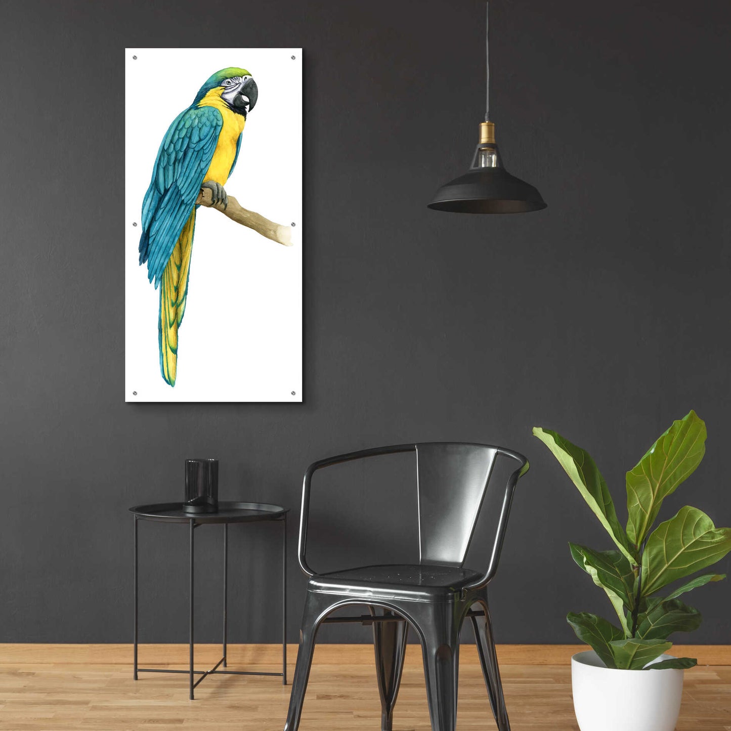 Epic Art 'Teal Macaw I' by Grace Popp, Acrylic Glass Wall Art,24x48