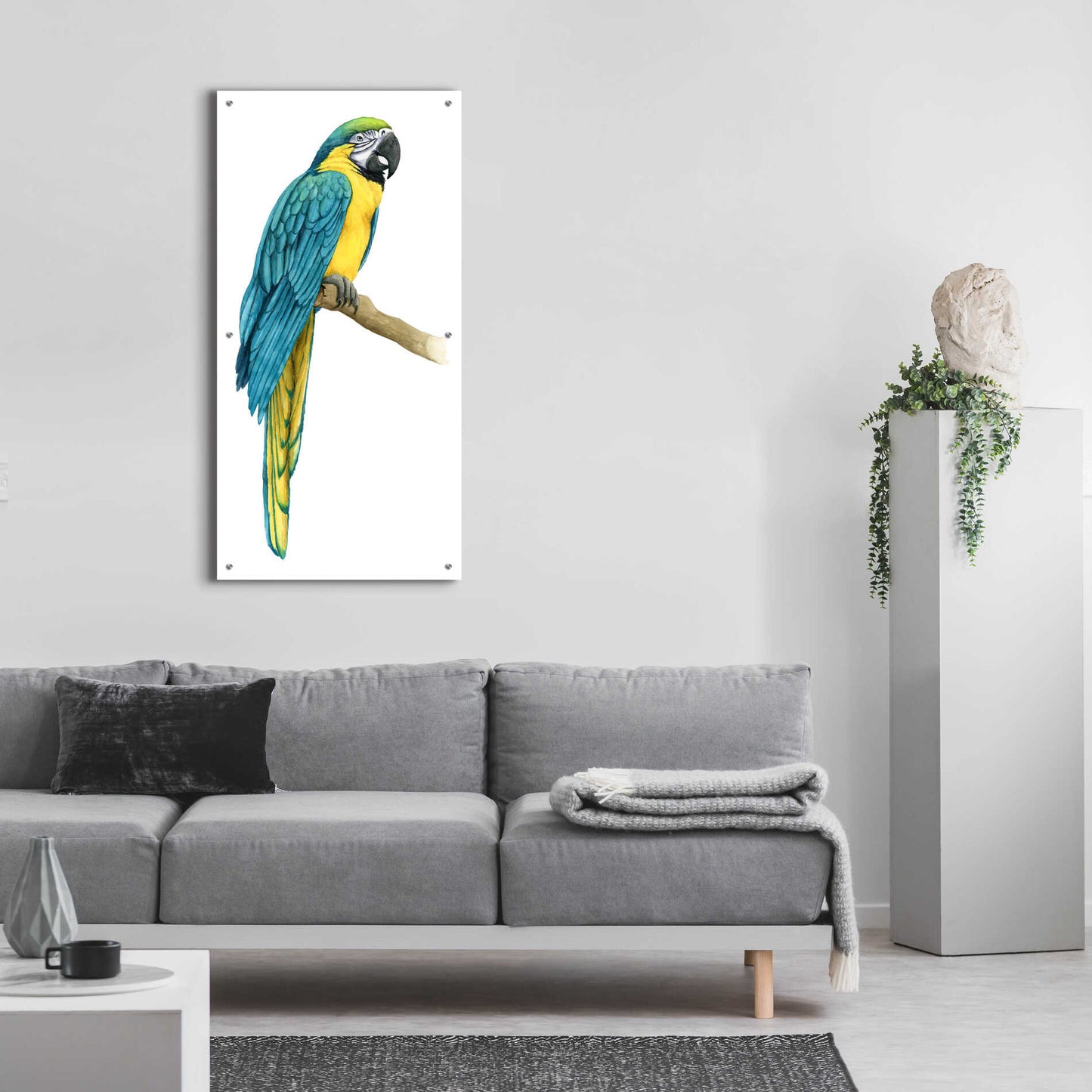 Epic Art 'Teal Macaw I' by Grace Popp, Acrylic Glass Wall Art,24x48