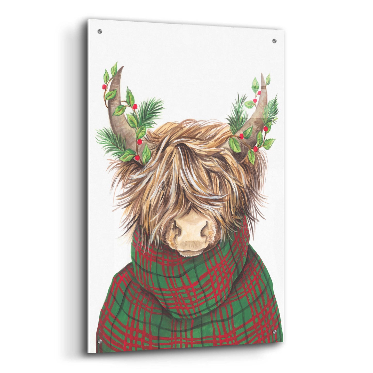 Epic Art 'Christmas Highland Cow' by Diane Kater, Acrylic Glass Wall Art,24x36