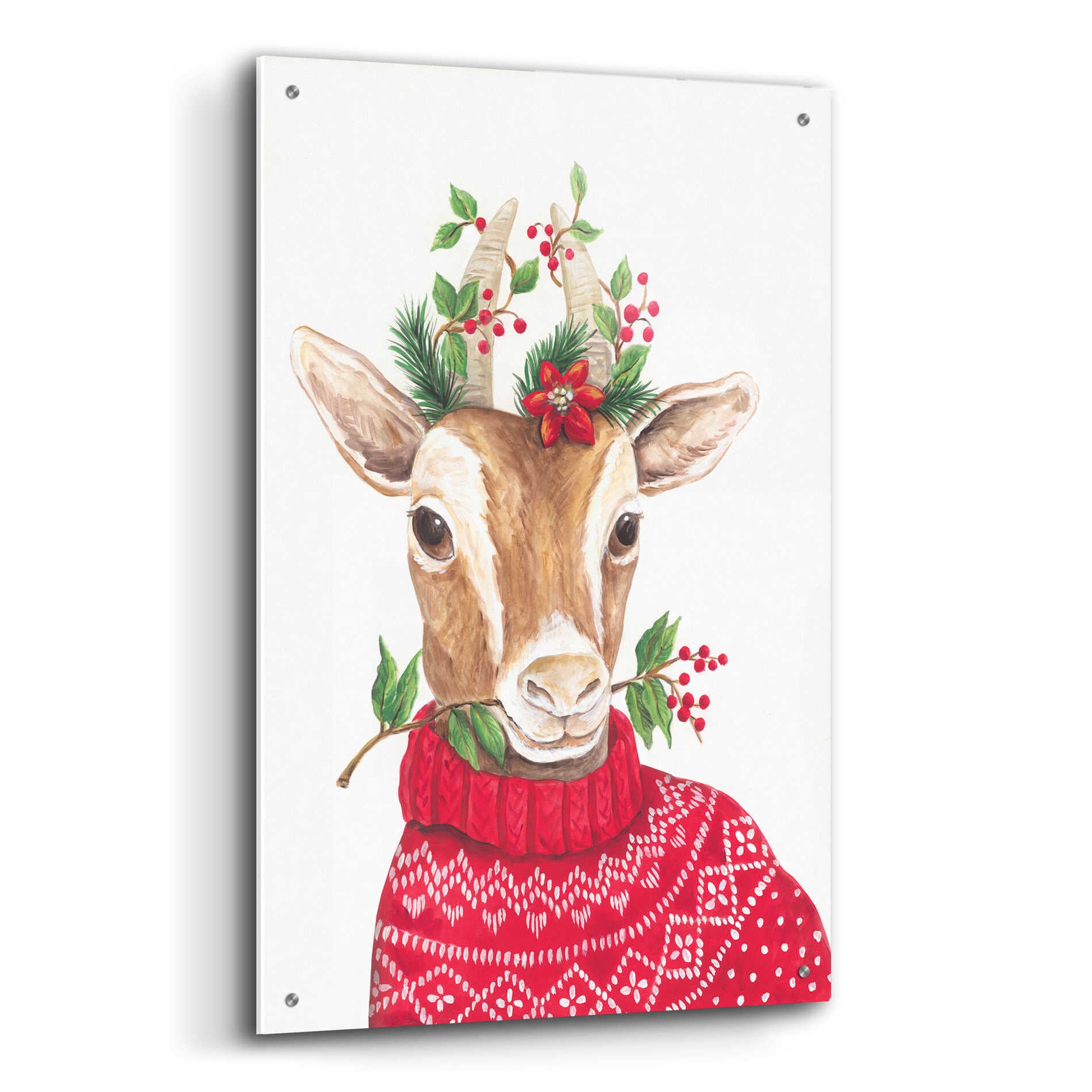 Epic Art 'Christmas Goat' by Diane Kater, Acrylic Glass Wall Art,24x36