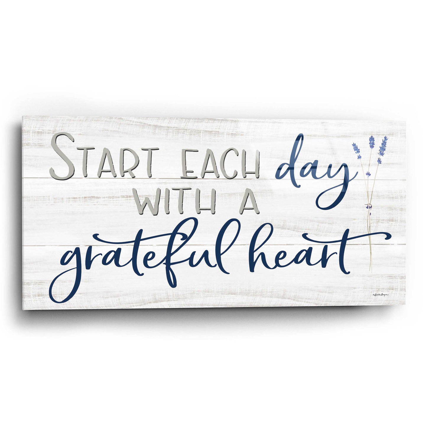 Epic Art 'Grateful Heart' by Susie Boyer, Acrylic Glass Wall Art,24x12