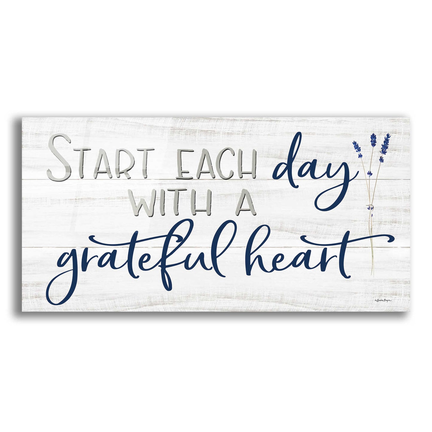 Epic Art 'Grateful Heart' by Susie Boyer, Acrylic Glass Wall Art,24x12