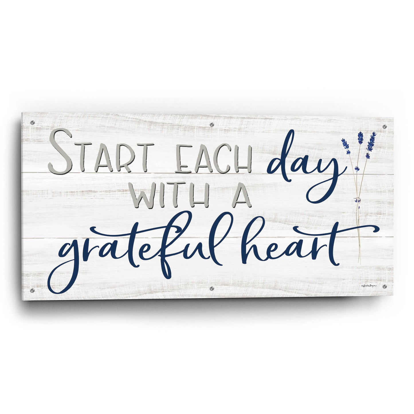 Epic Art 'Grateful Heart' by Susie Boyer, Acrylic Glass Wall Art,48x24