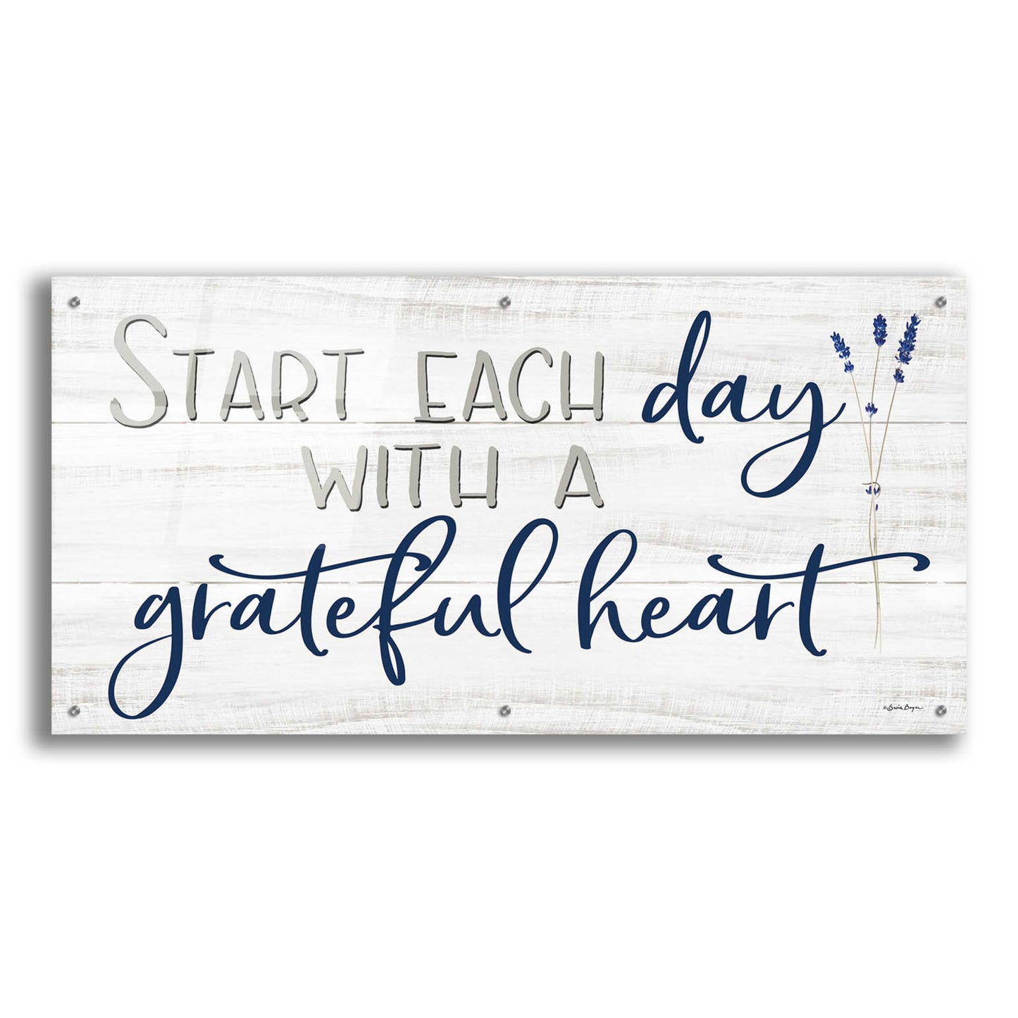 Epic Art 'Grateful Heart' by Susie Boyer, Acrylic Glass Wall Art,48x24