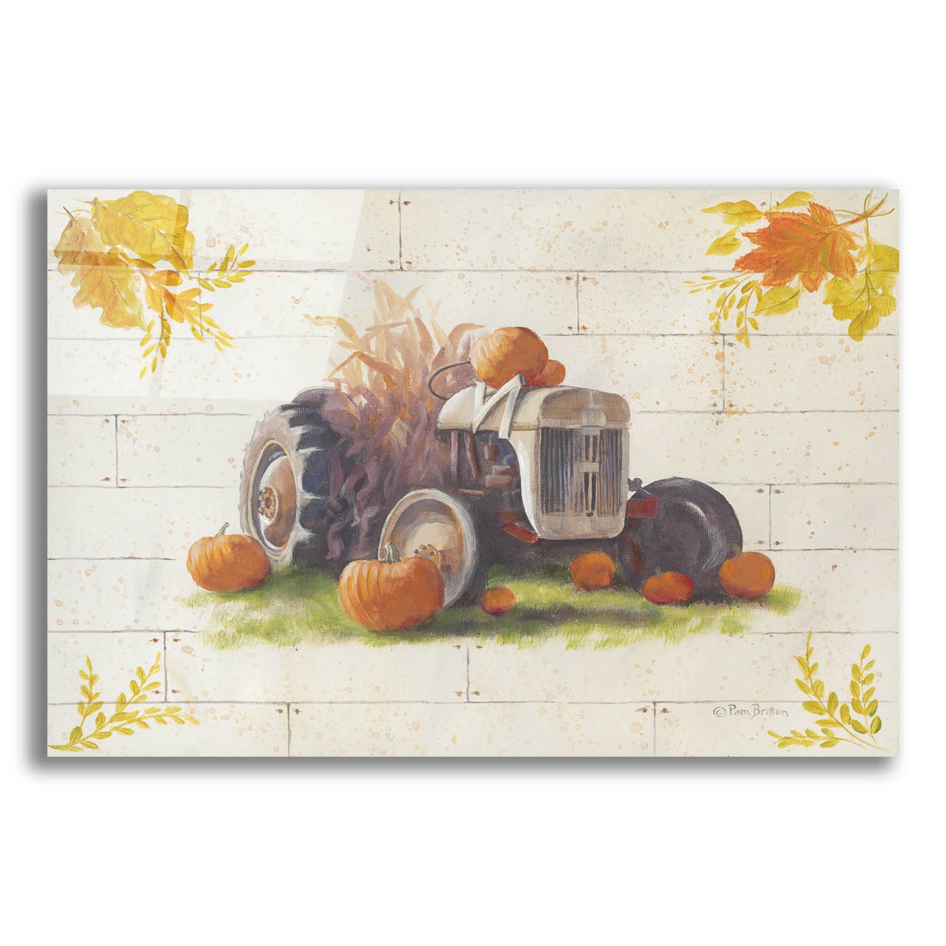 Epic Art 'Harvest Tractor' by Pam Britton, Acrylic Glass Wall Art,16x12