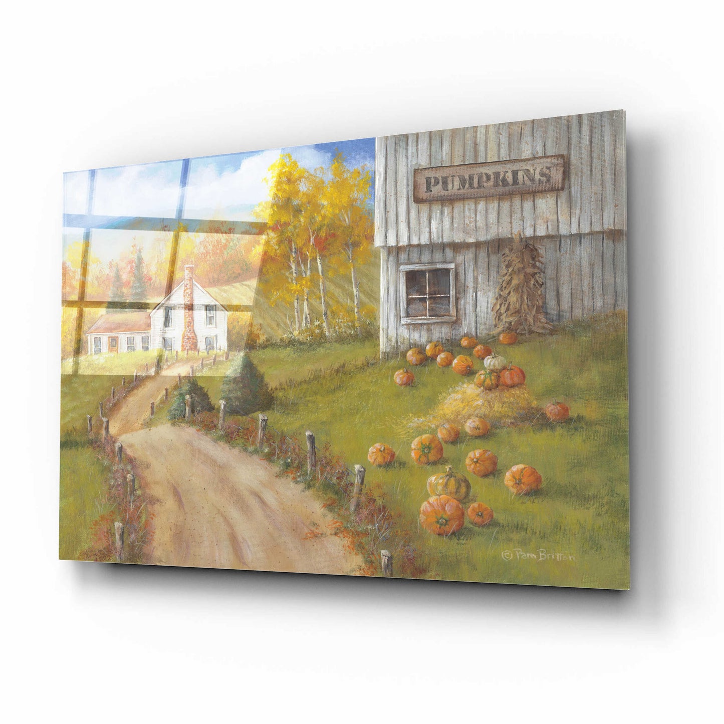 Epic Art 'Harvest Pumpkin Farm' by Pam Britton, Acrylic Glass Wall Art,16x12