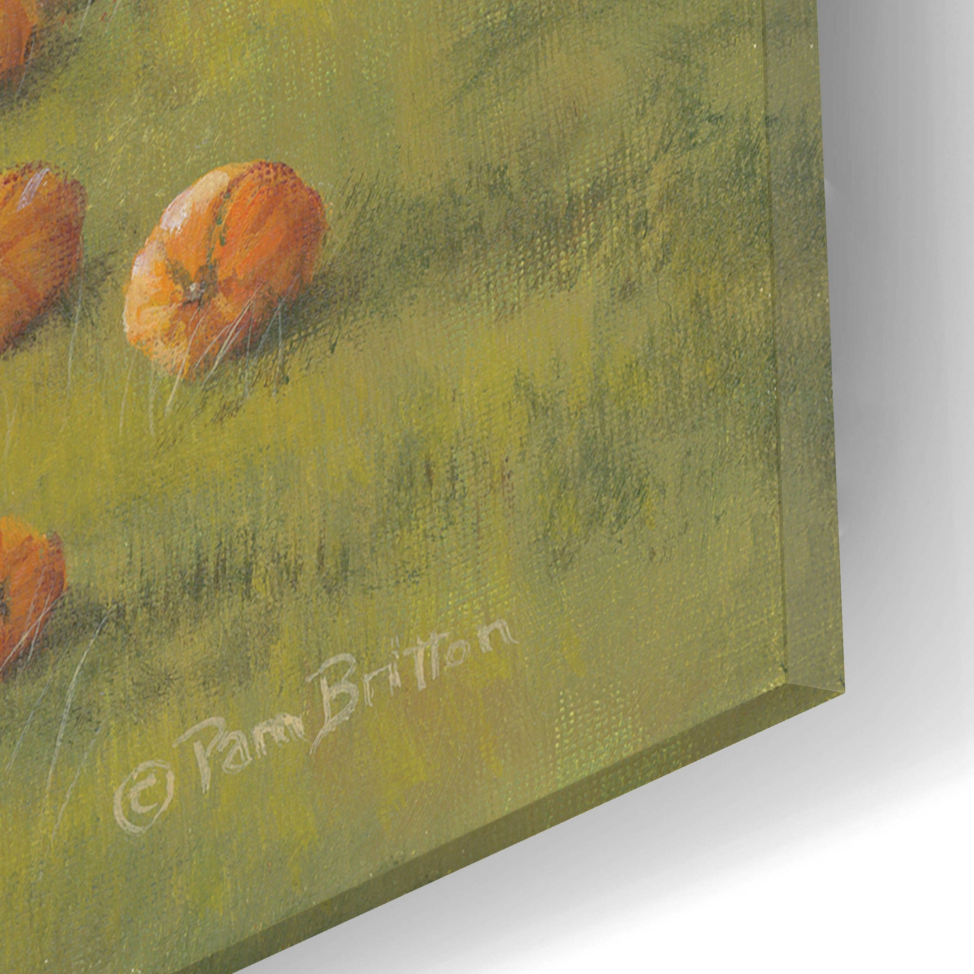 Epic Art 'Harvest Pumpkin Farm' by Pam Britton, Acrylic Glass Wall Art,16x12