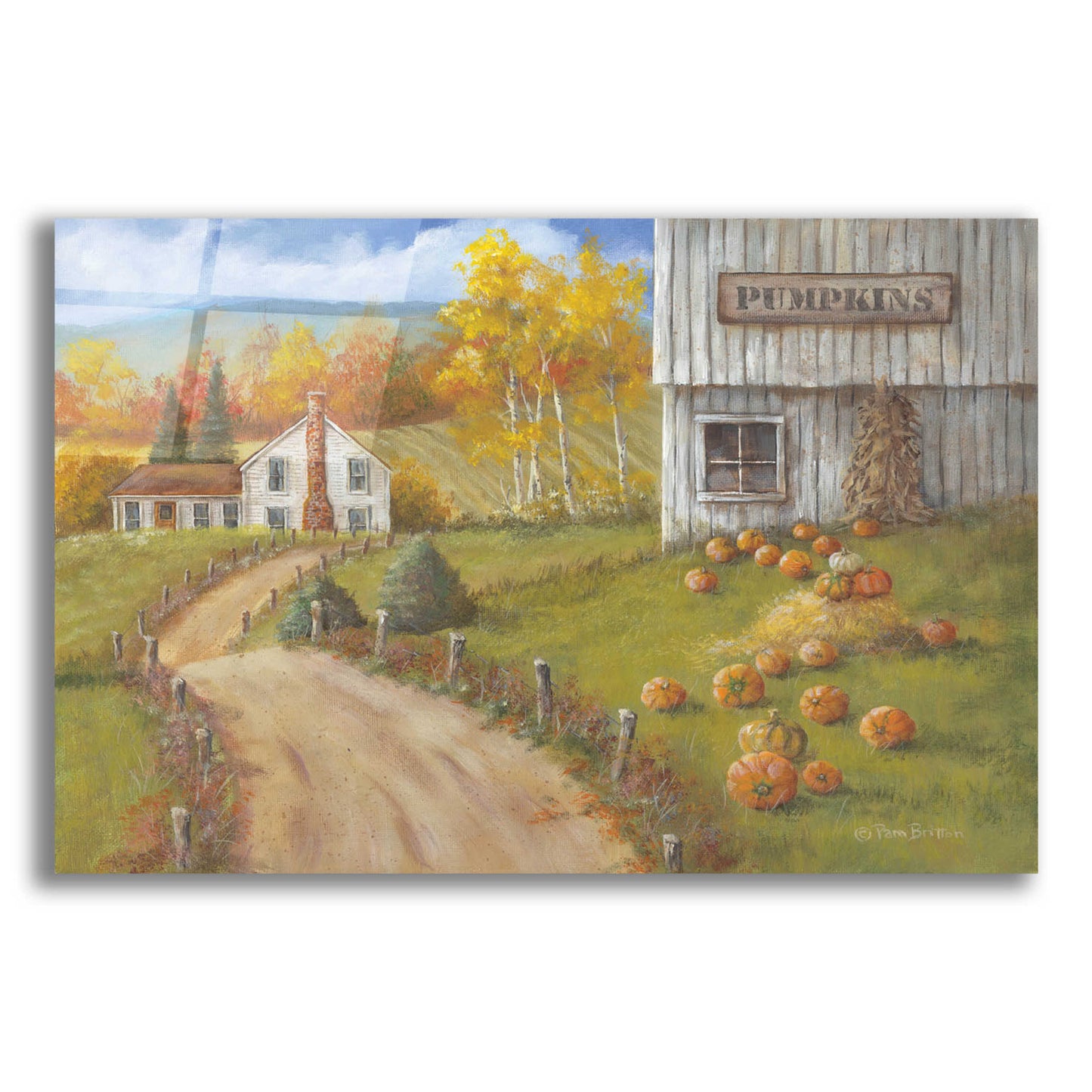 Epic Art 'Harvest Pumpkin Farm' by Pam Britton, Acrylic Glass Wall Art,16x12