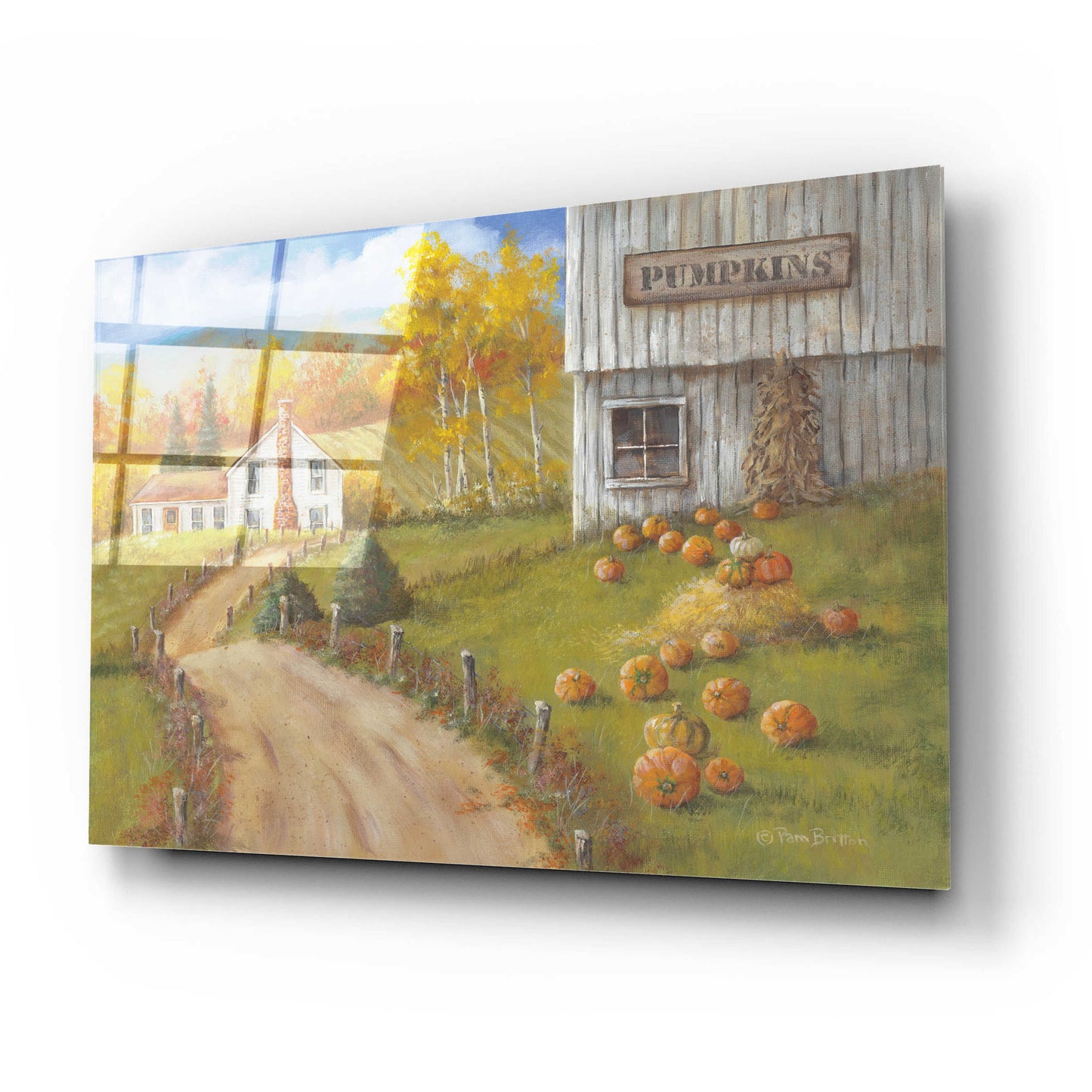 Epic Art 'Harvest Pumpkin Farm' by Pam Britton, Acrylic Glass Wall Art,24x16