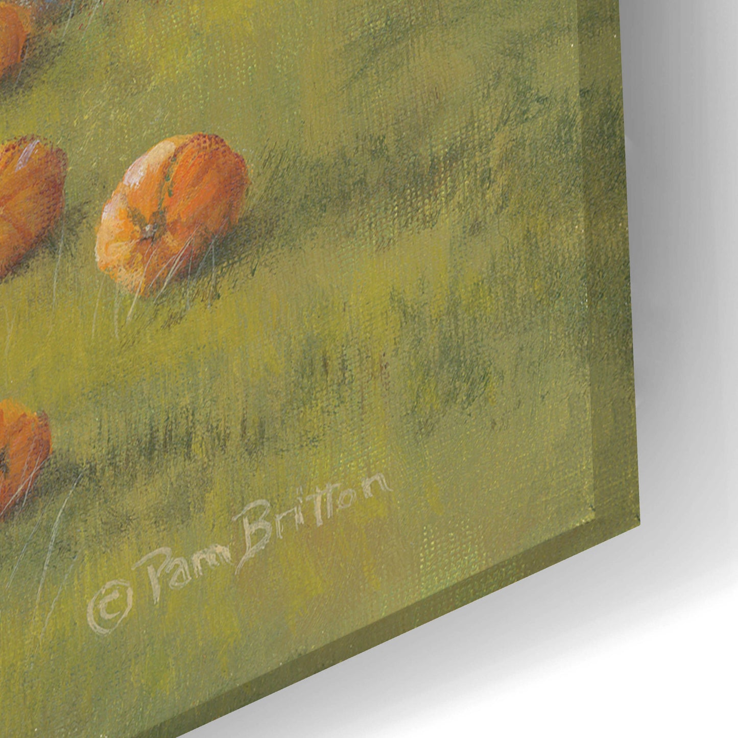 Epic Art 'Harvest Pumpkin Farm' by Pam Britton, Acrylic Glass Wall Art,24x16