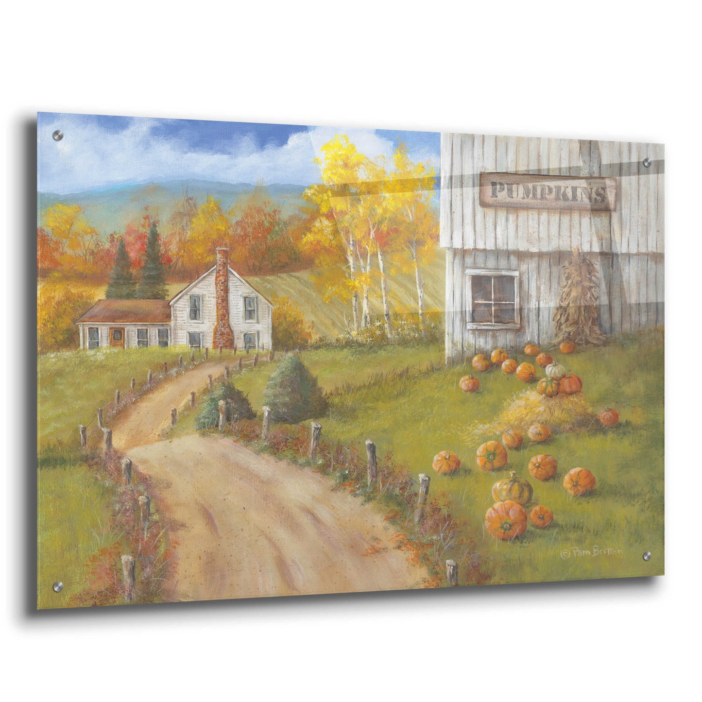 Epic Art 'Harvest Pumpkin Farm' by Pam Britton, Acrylic Glass Wall Art,36x24