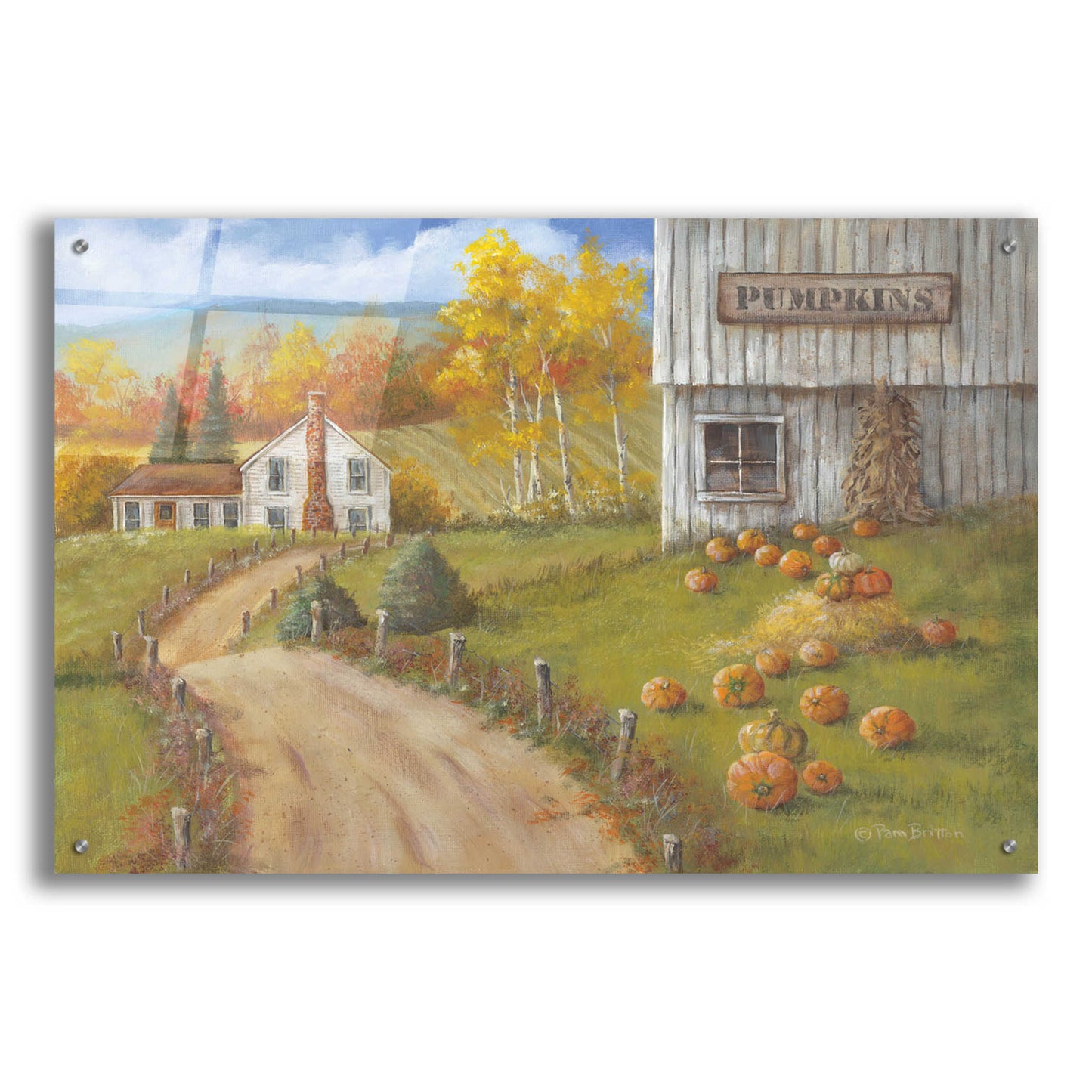 Epic Art 'Harvest Pumpkin Farm' by Pam Britton, Acrylic Glass Wall Art,36x24