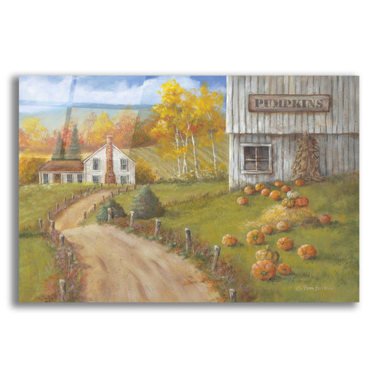 Epic Art 'Harvest Pumpkin Farm' by Pam Britton, Acrylic Glass Wall Art