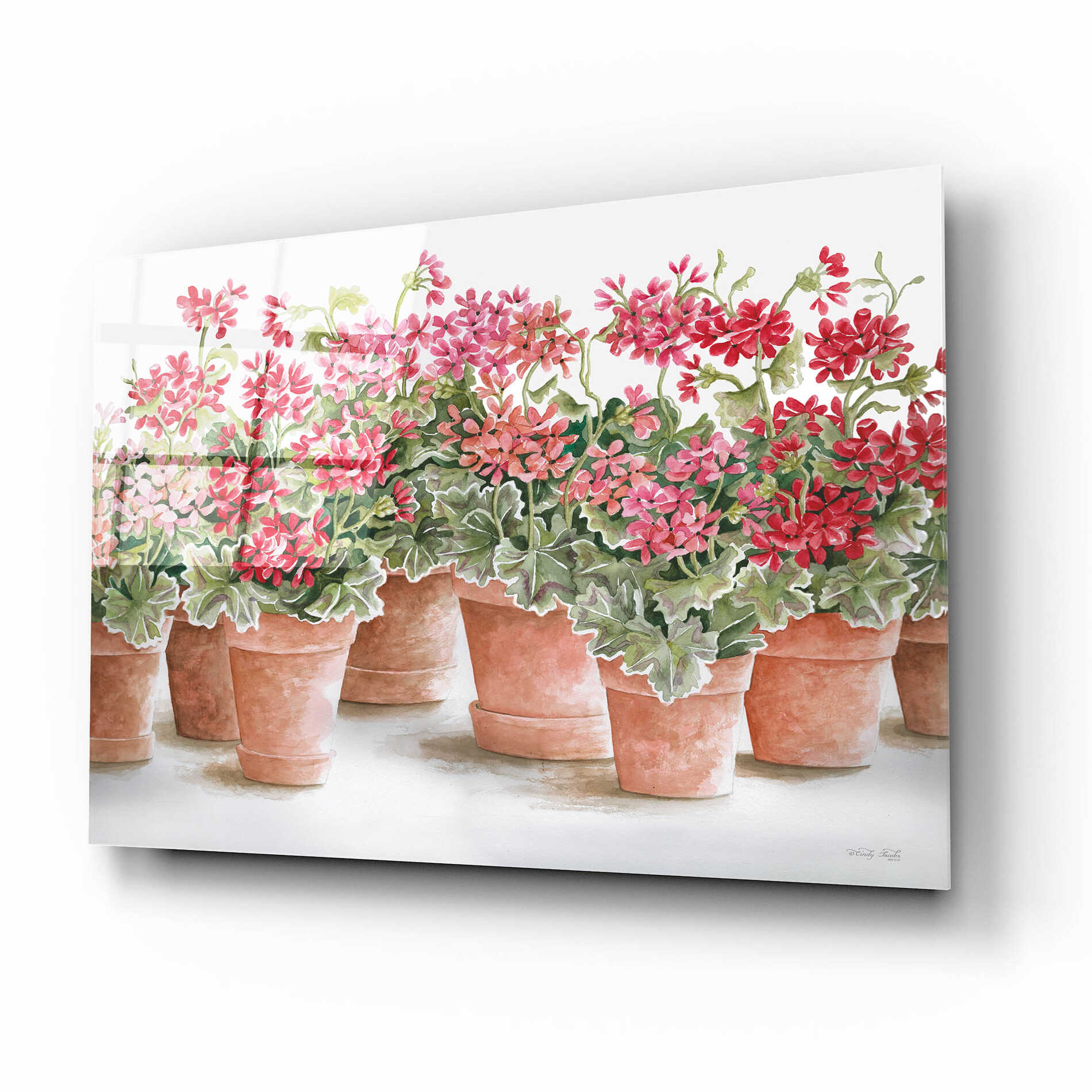 Epic Art 'Potted Geranium Mix I' by Cindy Jacobs, Acrylic Glass Wall Art,16x12