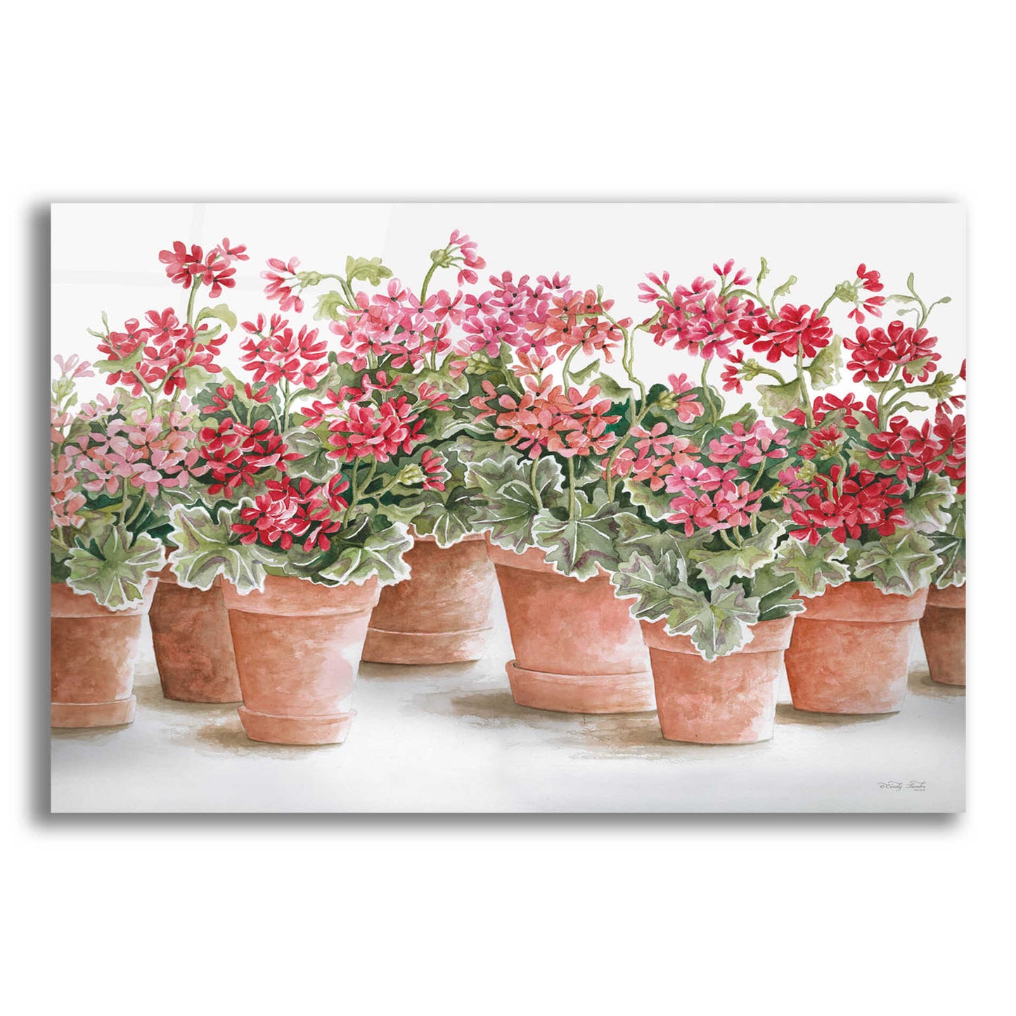 Epic Art 'Potted Geranium Mix I' by Cindy Jacobs, Acrylic Glass Wall Art,16x12