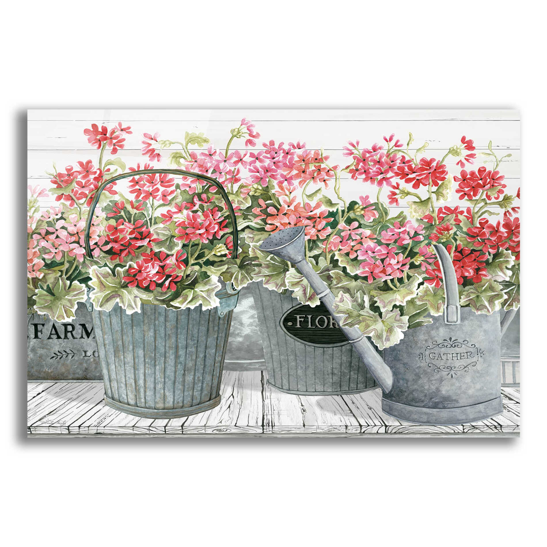 Epic Art 'Potted Geranium Mix II' by Cindy Jacobs, Acrylic Glass Wall Art,16x12