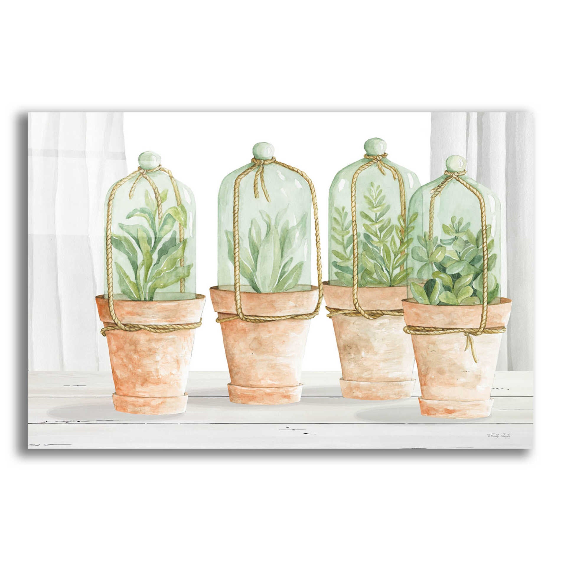 Epic Art 'Herb Collection' by Cindy Jacobs, Acrylic Glass Wall Art,16x12