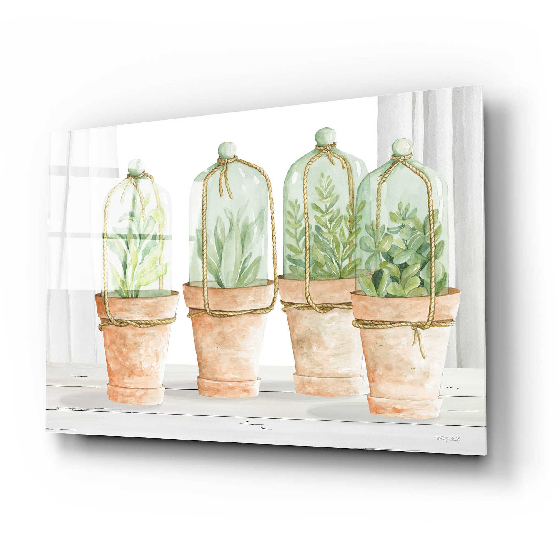 Epic Art 'Herb Collection' by Cindy Jacobs, Acrylic Glass Wall Art,24x16